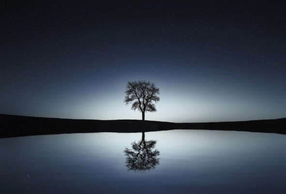 Dark image overlooking a lake toward a tree